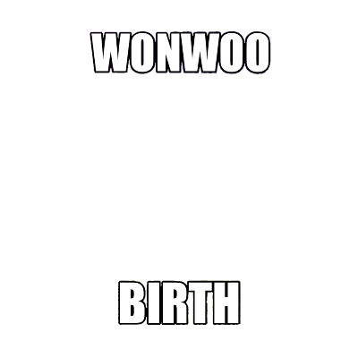 wonwoo birth