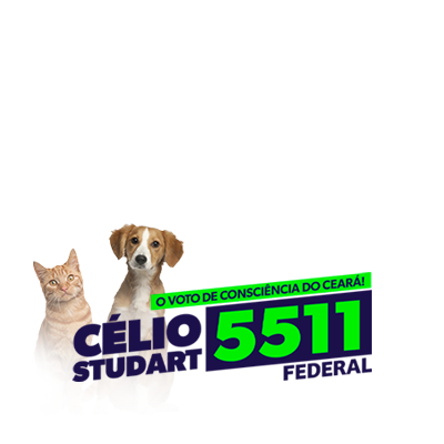 Célio Studart 5511
